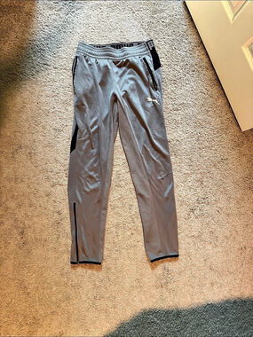 Puma Athletic Track Pants in Gray